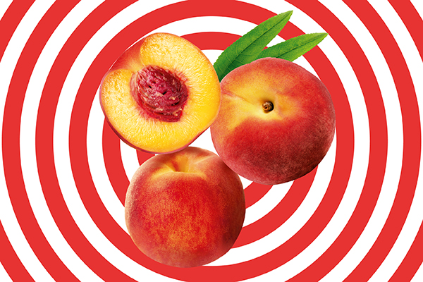 DİMES Classic Peach Nectar