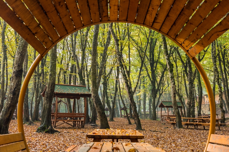 DİMES GO Karışık Rotası – Çilingöz Tabiat Parkı - Yalıköy – Belgrad Ormanı – Kilyos