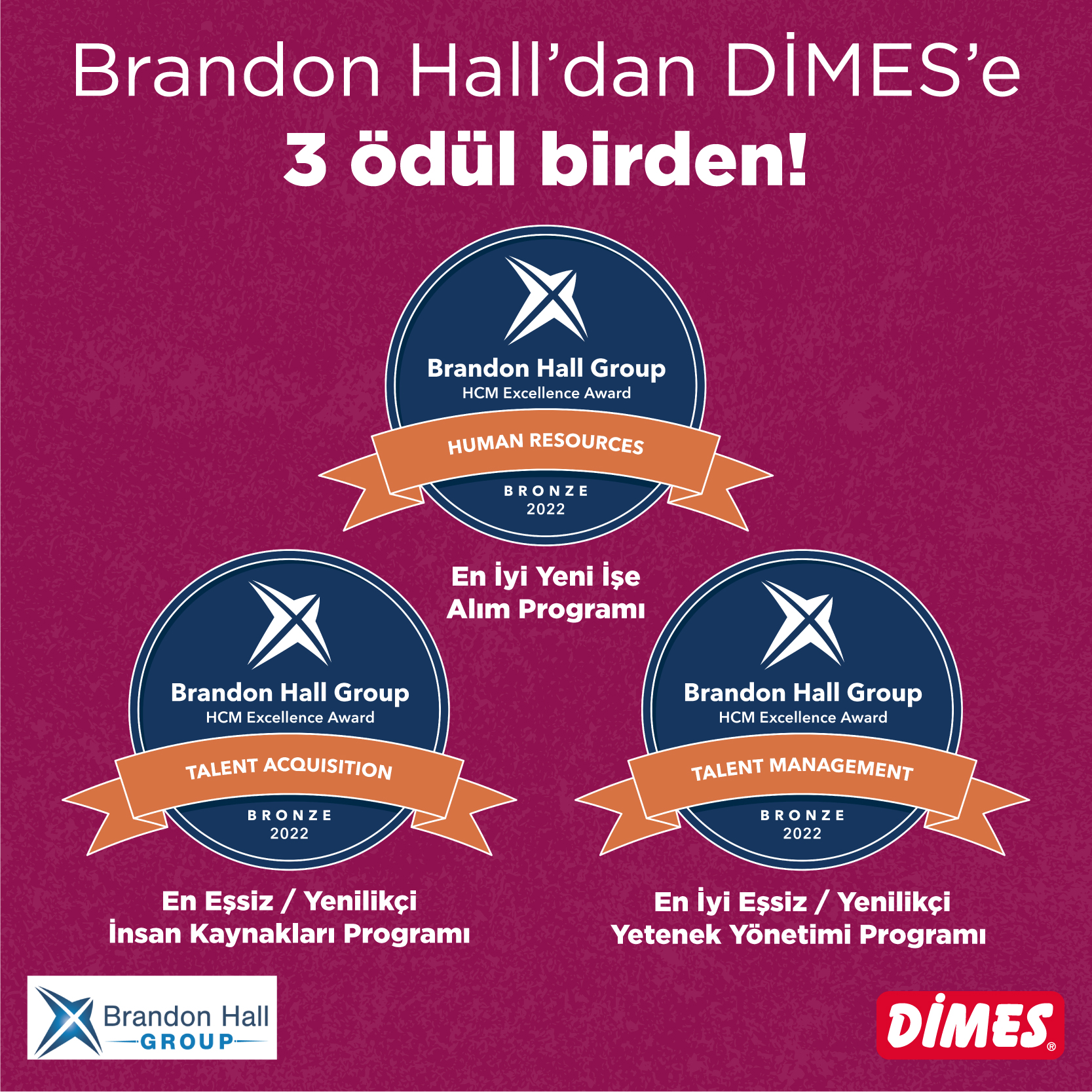 DİMES İnsan Kaynakları Uygulamalarına 3 Kategoride Brandon Hall Mükemmellik Ödülü