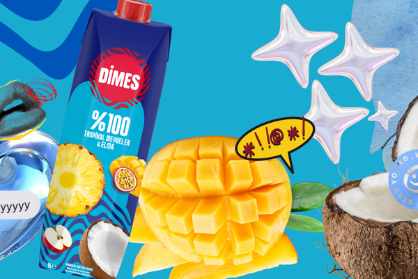 DİMES %100 Tropik Meyveli
