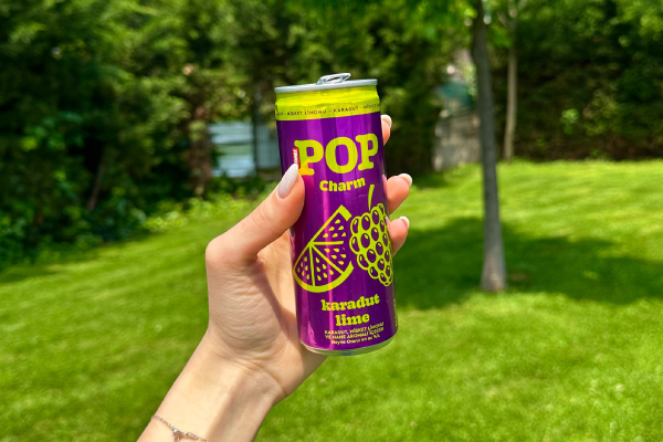 DİMES POP Charm Karadut - Lime