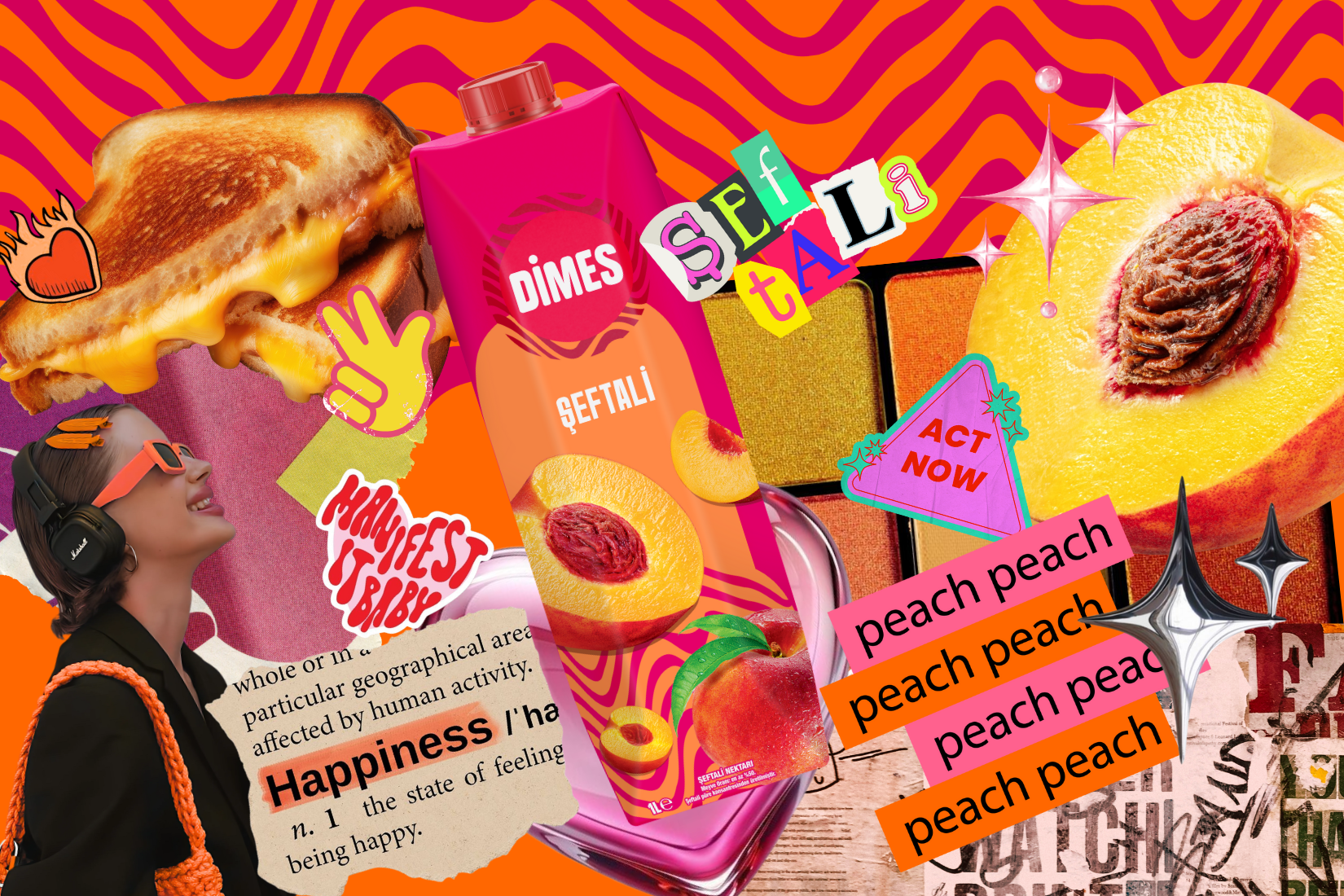 DİMES Şeftali Nektarı